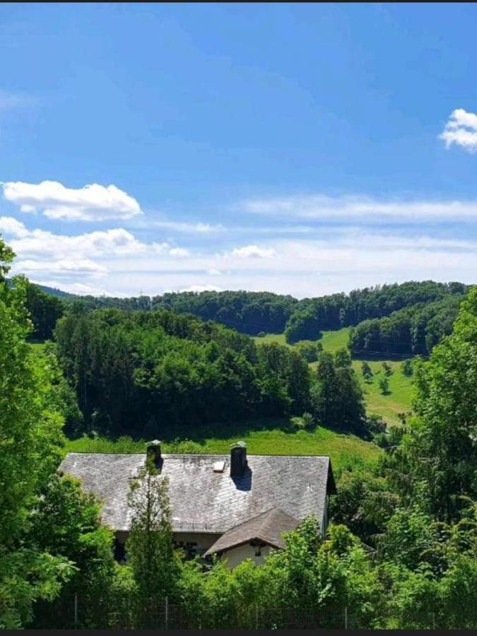 Odenwald-Lodge Mit Infrarotsauna Und E-Ladestation Im Naturpark Odenwald "Haus Himmelblau" Reichelsheim Dış mekan fotoğraf