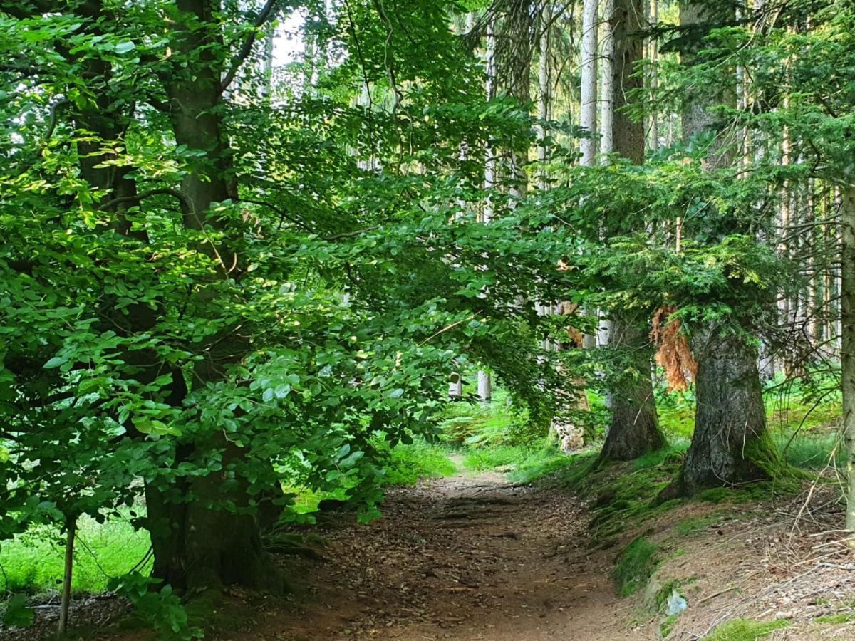 Odenwald-Lodge Mit Infrarotsauna Und E-Ladestation Im Naturpark Odenwald "Haus Himmelblau" Reichelsheim Dış mekan fotoğraf