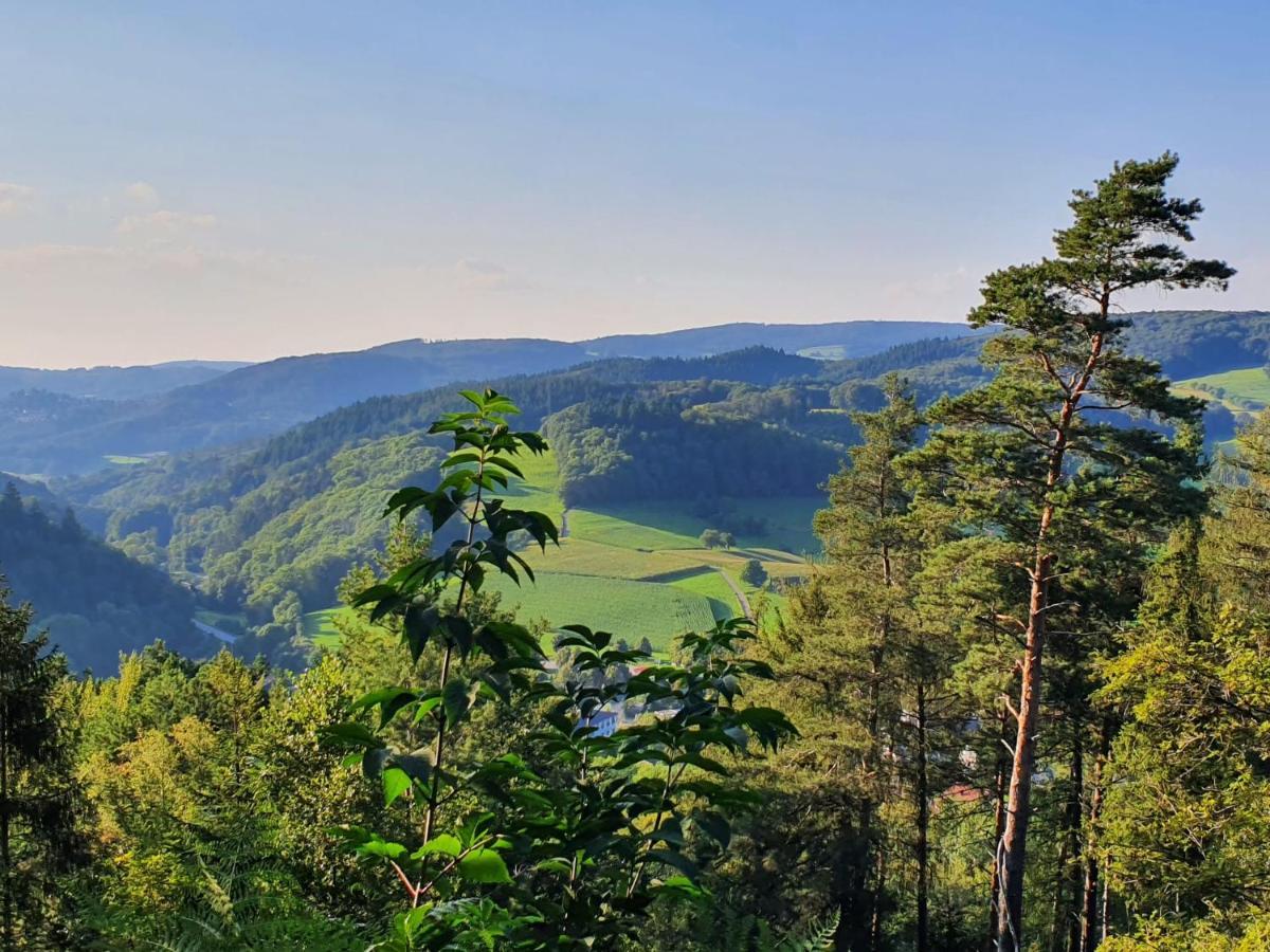 Odenwald-Lodge Mit Infrarotsauna Und E-Ladestation Im Naturpark Odenwald "Haus Himmelblau" Reichelsheim Dış mekan fotoğraf