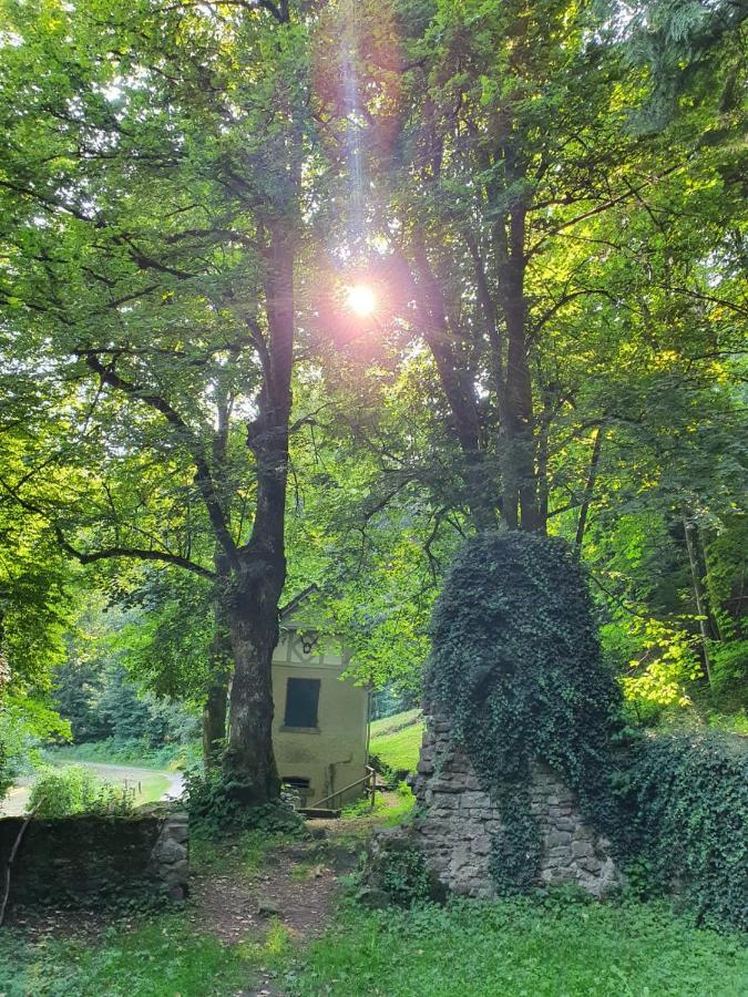 Odenwald-Lodge Mit Infrarotsauna Und E-Ladestation Im Naturpark Odenwald "Haus Himmelblau" Reichelsheim Dış mekan fotoğraf