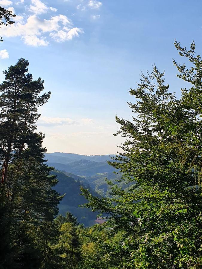 Odenwald-Lodge Mit Infrarotsauna Und E-Ladestation Im Naturpark Odenwald "Haus Himmelblau" Reichelsheim Dış mekan fotoğraf