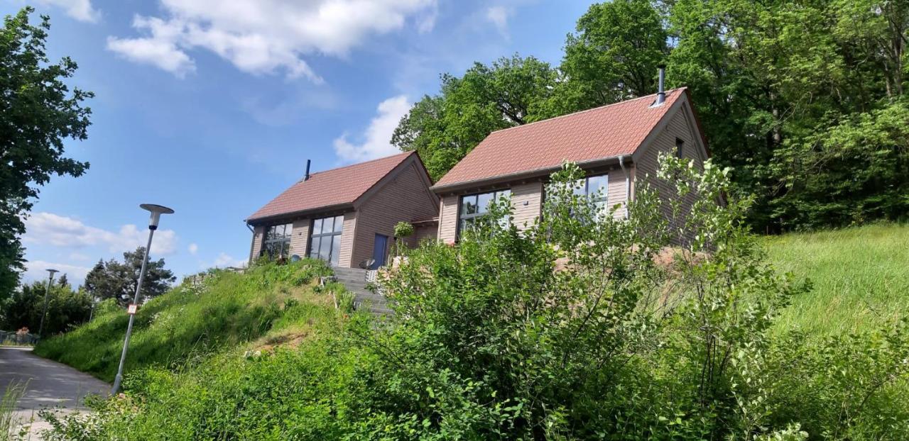 Odenwald-Lodge Mit Infrarotsauna Und E-Ladestation Im Naturpark Odenwald "Haus Himmelblau" Reichelsheim Dış mekan fotoğraf