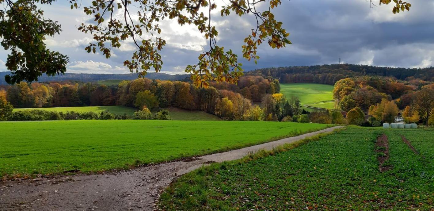 Odenwald-Lodge Mit Infrarotsauna Und E-Ladestation Im Naturpark Odenwald "Haus Himmelblau" Reichelsheim Dış mekan fotoğraf